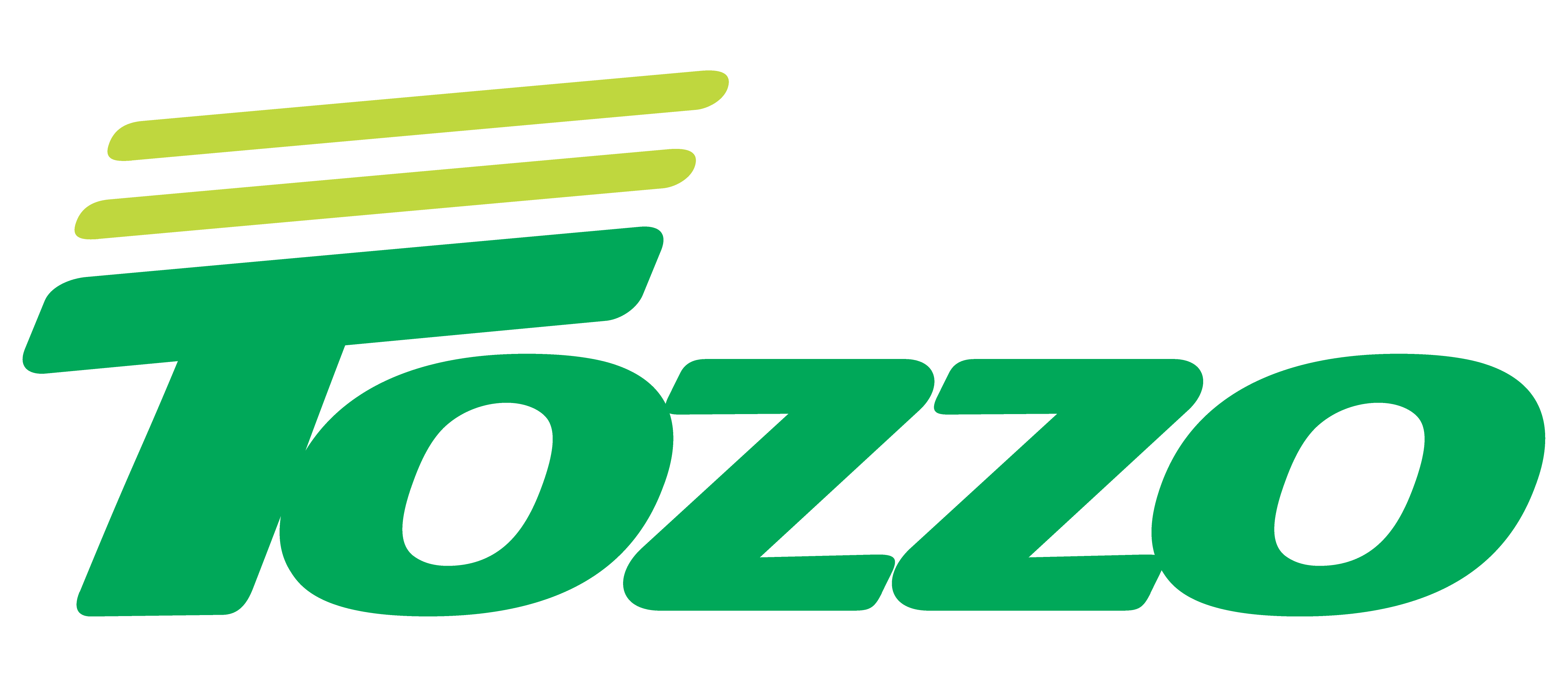 Logo Tozzo